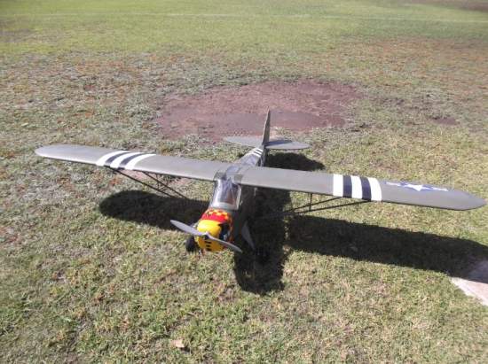 1/5th scale SIG Cub finished as a Grasshopper