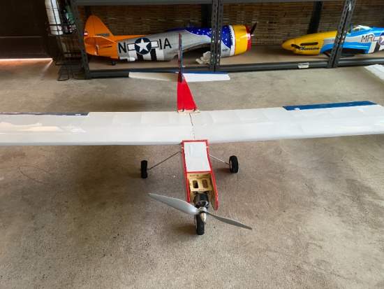 Dancing Wings T40 1550mm WS Trainer