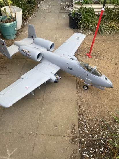 Freewing 80mm A10 Thunderbolt for sale 